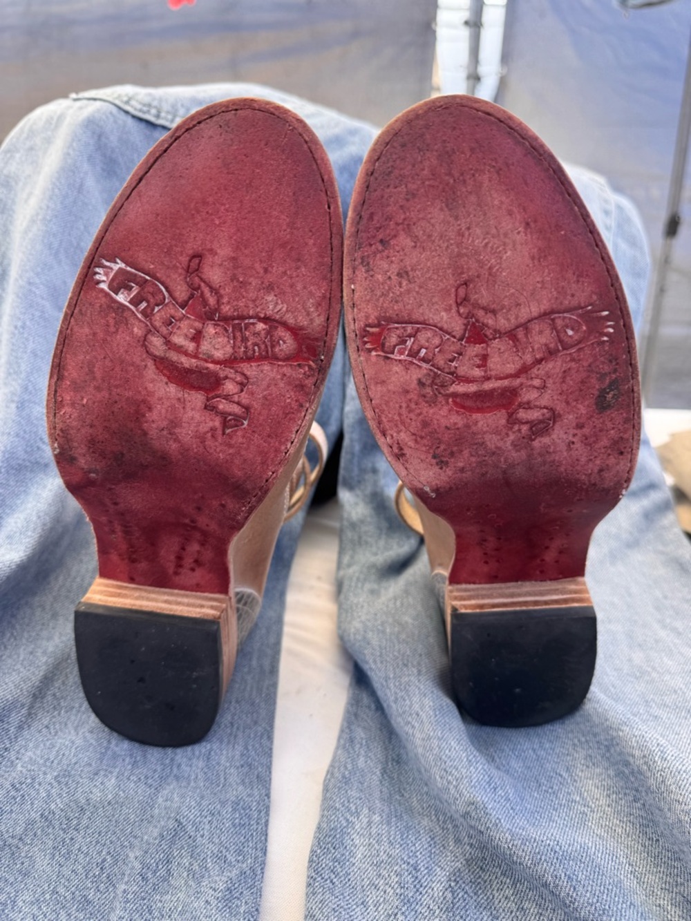 Freebird  MARTINA TOUPE Ankle shoes - Picture 7 of 13